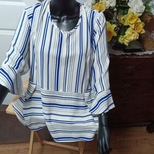 Catherines Blue and White Striped Blouse